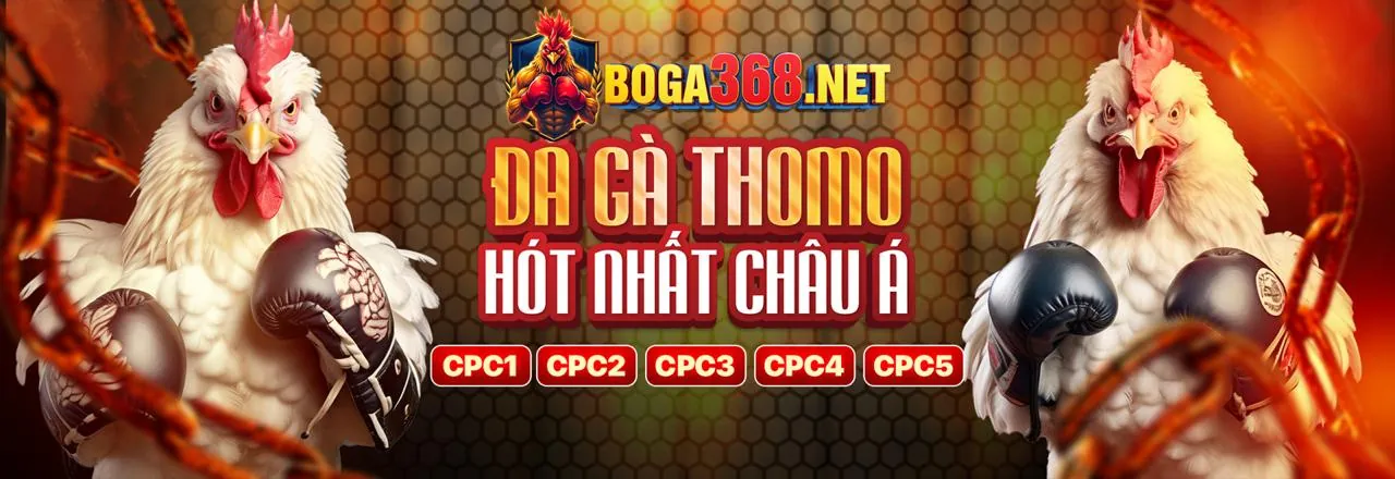Hình ảnh chính JDB777 đăng nhập